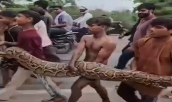 15 అడుగుల ప్యాథాన్
